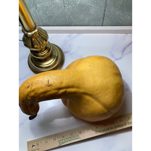Unique Gourd Decor Large Decorative Gourd Autumn Harvest...